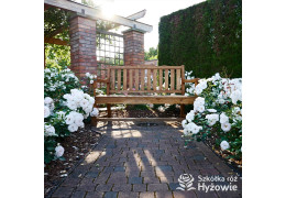 Jak przygotować ogród pod róże – zanim ruszy sezon (praktycznie, krok po kroku)