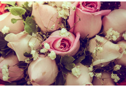 Jakie róże do wywijania – jak uzyskać spektakularny efekt w bukietach i dekoracjach